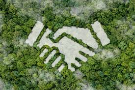 deux mains qui se serrent sur une foret se qui montre l'environnement