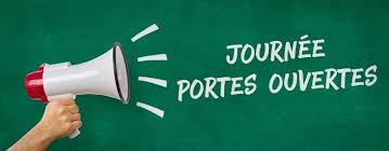 Sans titre